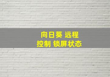 向日葵 远程控制 锁屏状态